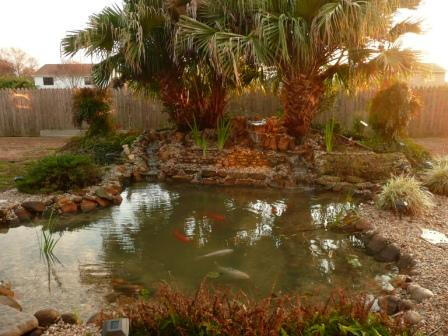 Diagnose Pond Problems